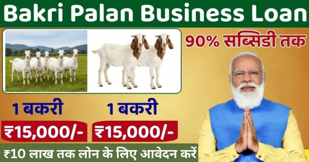 बकरी पालन बिजनेस लोन