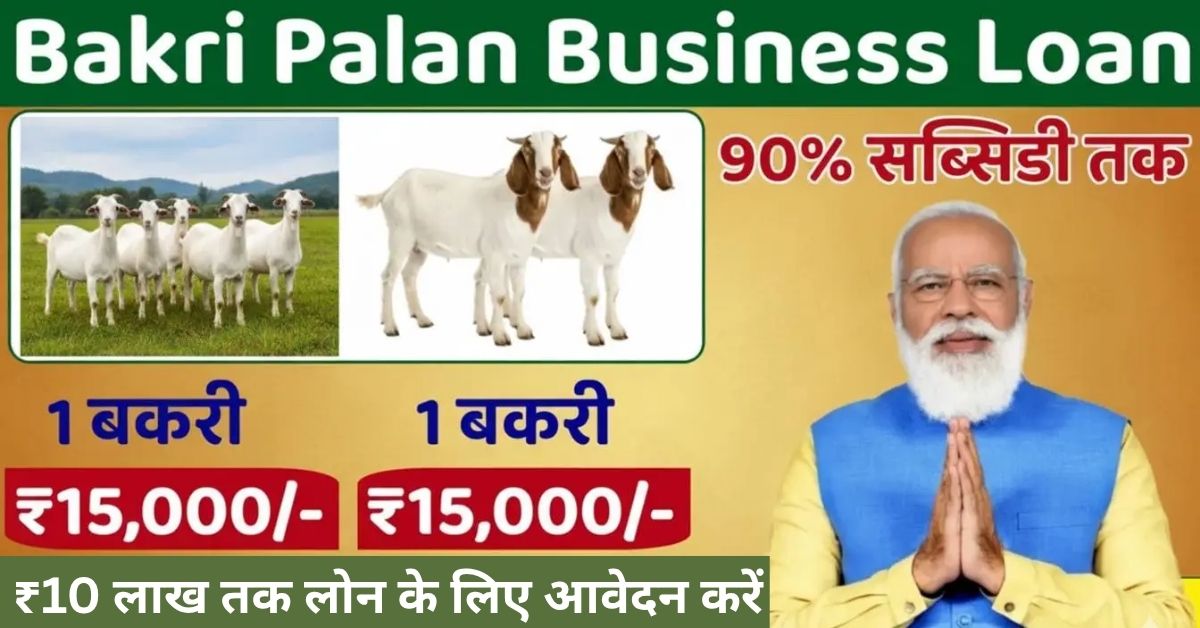 बकरी पालन बिजनेस लोन